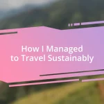 How I Managed to Travel Sustainably